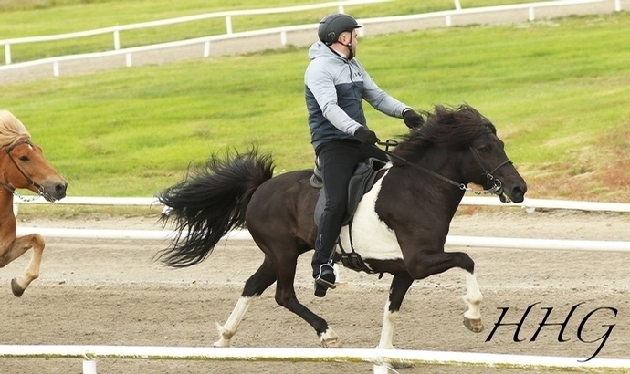 IS: Aðalheiður, Ævar, Davíð holen Gold in PP1, P1, P3