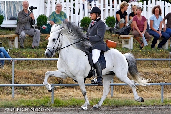 DIM: Karly dominiert T1, PP1-Gold an Melanie