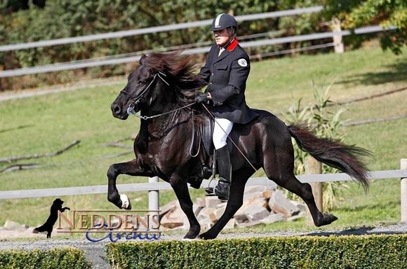 Aegidienberg live: Karly toppt T1 (Video), Flósi gewinnt T3