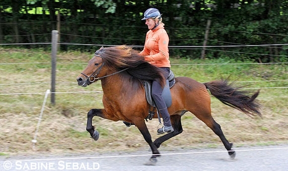 FIZO Basselthof beendet: Andvari (8,24) vor Rakel und Eir