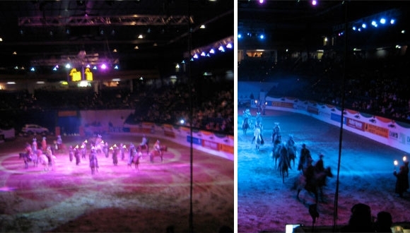 Isländisches Show-Finale bei der Baltic Horse Show