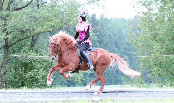 Bayerncup 2011: Nachlese mit allen Ergebnissen & Fotos