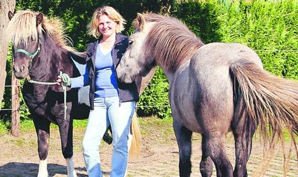 Bellershof in Bürstel: Islandpferde als neues Standbein