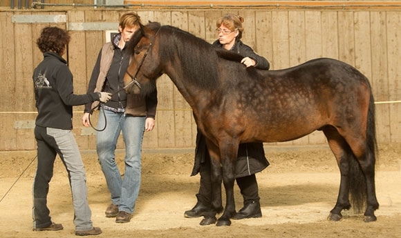 FIZO Berlar: Röschbacherhof & Quillerhof können punkten