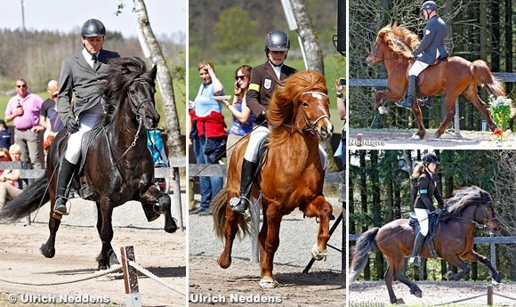 Birkenhof live: Stymmi & Lena Maxheimer top nach T2/V2