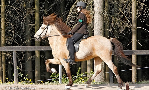 Birkenhof: Anna-Bryndís zaubert, T1-Gold für Laura/Jonas