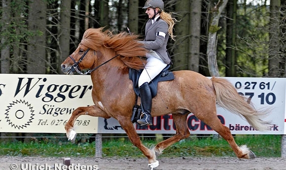 Birkenhof: Lena/Jonas gewinnen T3/V1, Neddens-Album