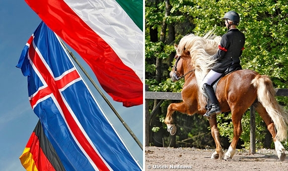 OSI Birkenhof: Gold für Livius, Leiri & Blær, starke Lucie