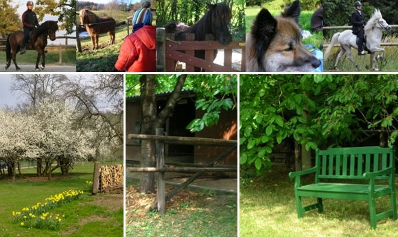 Bonz baut: Ein Stückchen Island am Fuß der Weinberge