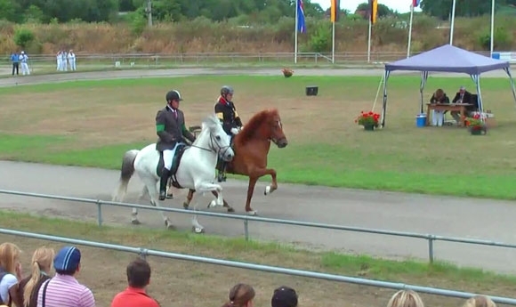 Klicken und Spaß haben: Video-Highlights von DIM & WM