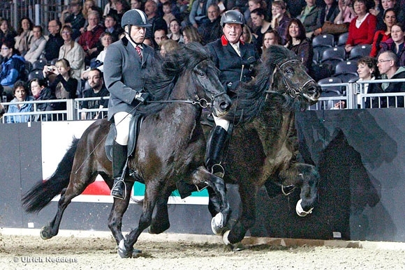 Equitana: Bundeskader schafft sportlichen Glanz (Video)