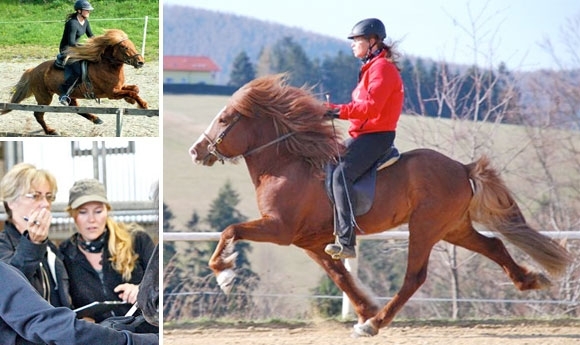 FIZO Panoramahof: ‘Gold’ für Sjón (8,25) & Rauðhetta (8,15)