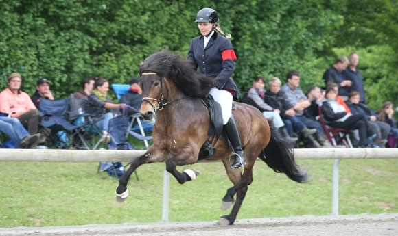 Ellenbach: Tagesabschluss auf Kaufunger Mammut-Event