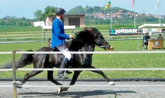 Sportl. Schlussakkord beim gelungenen OSI Habichtswald