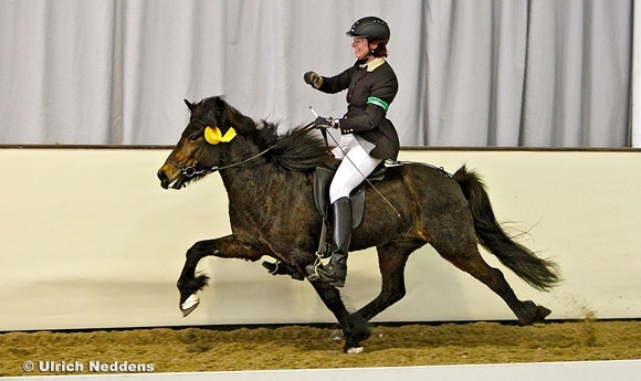 Dörte/Ilmur (F1) und Ralf/Eldur (T2) vergolden OSI Handorf