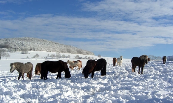 Weiße Wonne: Wintermärchen Westlausitzer Hügelland