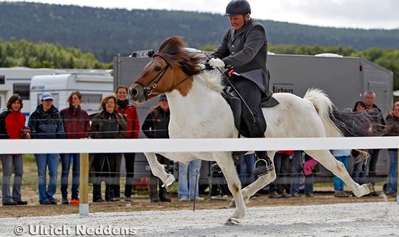 Hirtenhof: Stymmi/Borgar mit Speedpass-Rekord (Video)