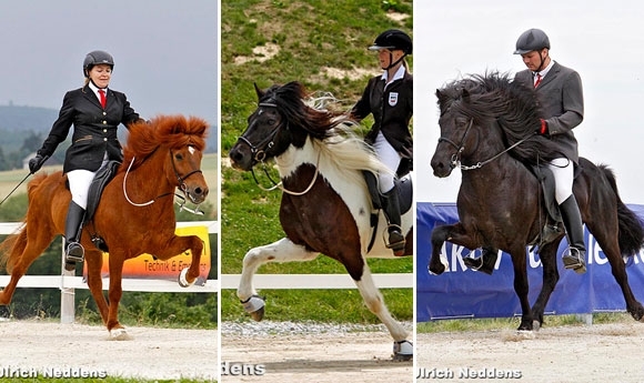 Passprüfung: Stymmi & Lizzy holen Gold in Wehrheim