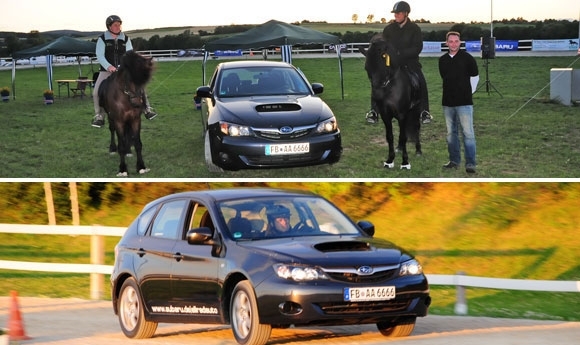 Karly toppt Tölt & Drive, verkündet SUBARU-Partnerschaft