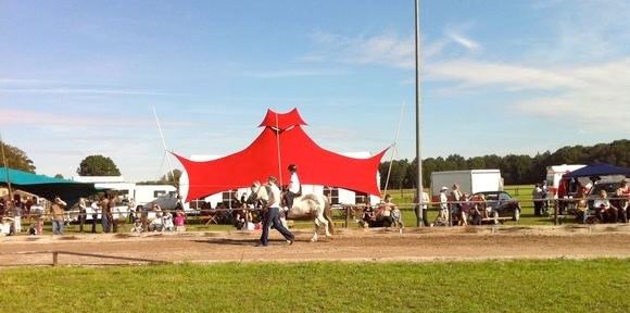 Sonne in Hörpel: Irmscher & Bargh auf Goldkurs