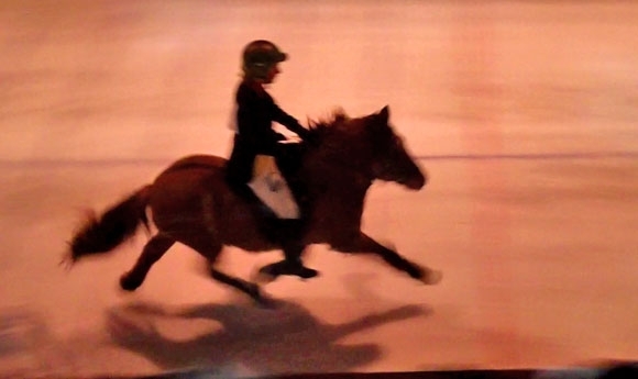 Horses On Ice: Rasanter Speedpass ‘on the rocks’ (Video)