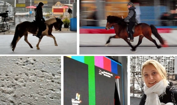 Horses On Ice: Videobilder vom freien Training am FR