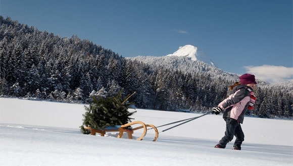 Allen Lesern nah & fern ein gesegnetes Weihnachtsfest