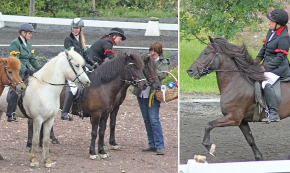 Grenzlandhof: Gold-Miriam, Dieter packt F2, Catherina F1