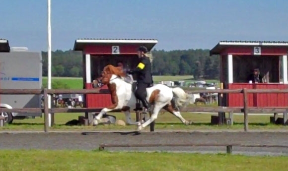 Julie/Örn (8,02) gewinnen K’hof-F1, Frauke/Fannar 7,97