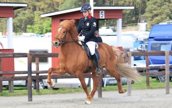 Kronshof special – Turnier für die ganze Familie