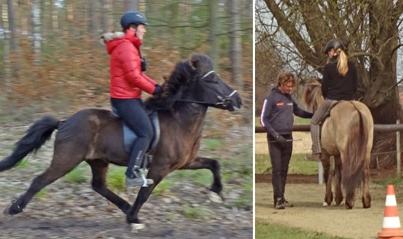 Kurs bei Sandra & Lalli: Siggi Mar begeistert Reitschüler