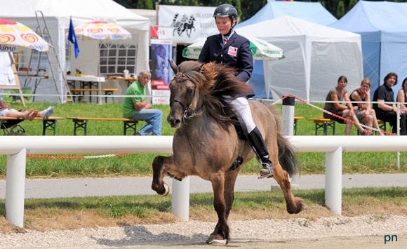 Österreich: Reiter-Tropper & Kaufmann glänzen in der T2