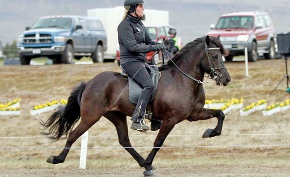 LM live: Kolka (8,51) der 2006er Star, A-Flokkur-VE läuft