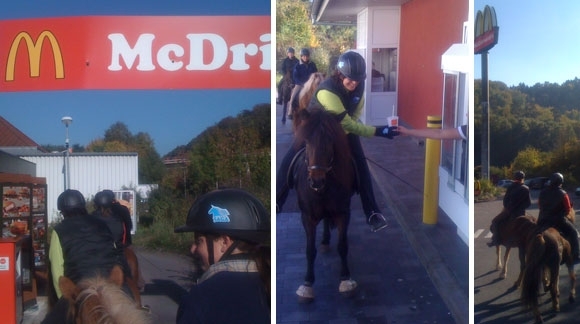 Tierisch hungrige Kundschaft: 8 Islandpferde im ‘McRide’