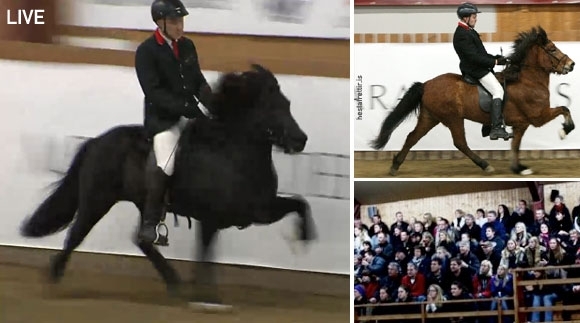 Meisterklasse live: Siggi Sig gewinnt BF (7,78) vor Bylgja