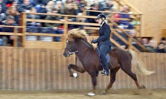 Video von ‘Misa’ und Óskar beim Meisterklasse-Triumph