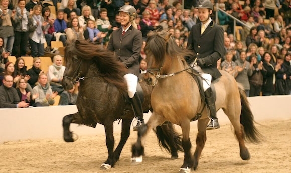 Odense 2013: Bahnbau fertig, WorldTölt kann kommen