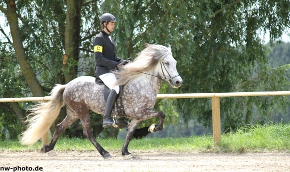 Oedhof: Kraetsch 2x vorn, Julia/Nathalie toppen KL/KM