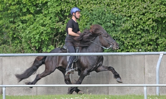 Osterby am Mittwoch: Zusammenfassung der Rankings