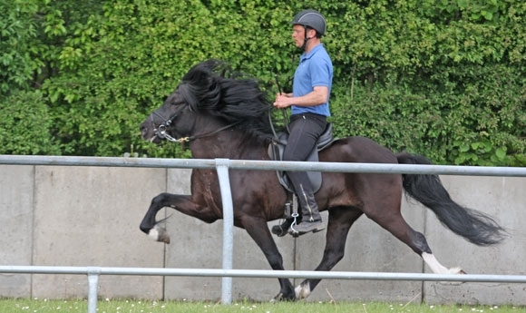 FIZO Osterby: Atli (RE 8,67), Fjarki, Sleipnir und Ylur vorn