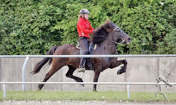 Sport in Osterby: Starke Ritte trotz Finalisten-Schwund