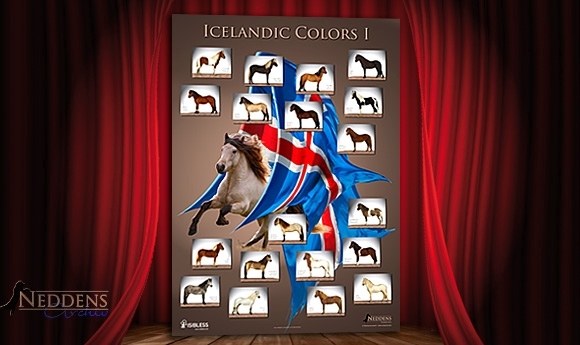 Icelandic Colors 1: Holt Euch die Farben ins Haus!