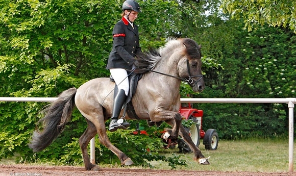 WM-Sichtung: Meike, Andrea, Silke & Simon vorn (T2/T4)