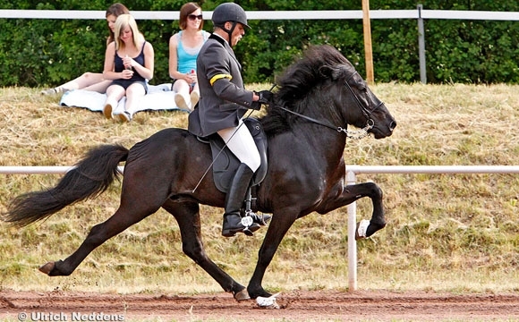 Karly vor Jonas & Ladina (V2), Jollys Kiljan toppt Futurity