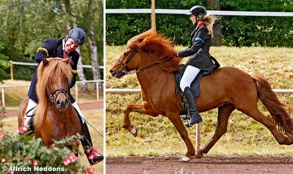 WM-Sichtung: Güldner-Gold, P2 an Melanie & Annabell