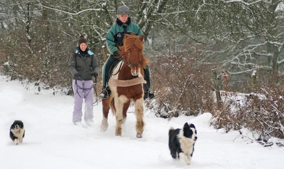 Wie heißt die aktuelle Jahreszeit nochmal? Richtig, Winter!