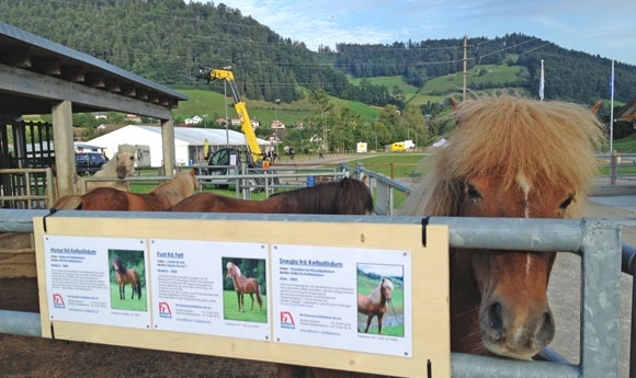 SM 2012 live: T1 läuft, Diddi/Kjarni vor 2x Staubli …