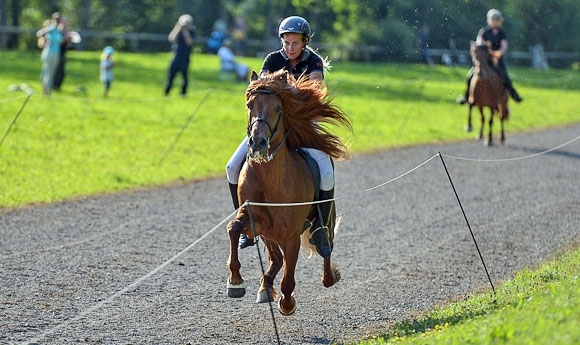 SM 2012 live: Vera Weber im Passrennen auf Goldkurs