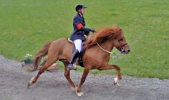 E’bach: Freija holt T2, F2 an Kl. Büning, Annabell 7,8sec