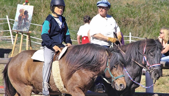 Soehnle/Strittmatt: Die heilsame Wirkung des Reitens